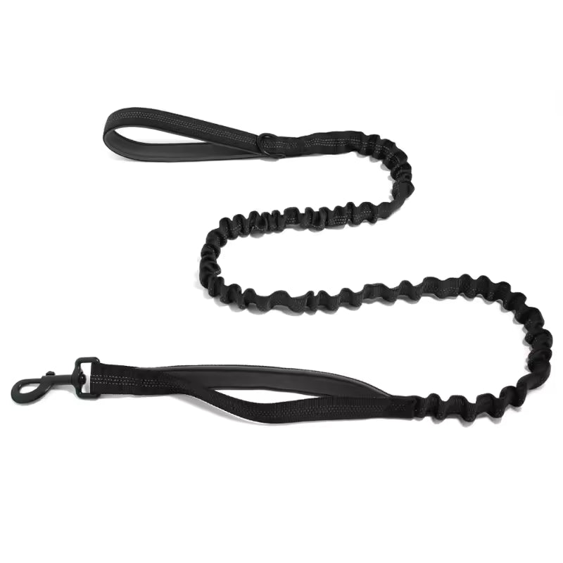 🎁 Correa elástica Blaschen™ GRATIS