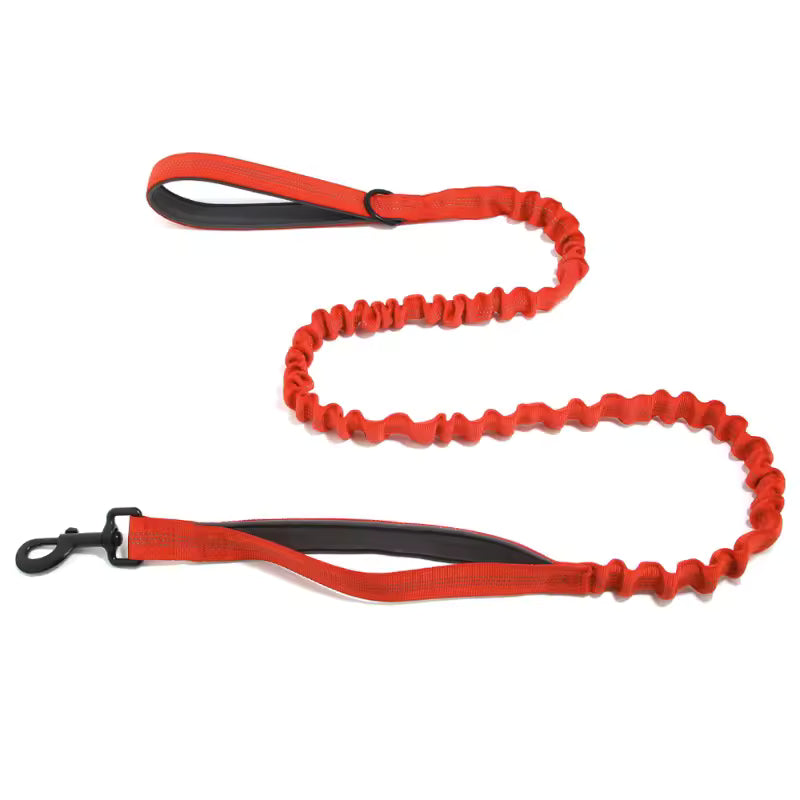 🎁 Correa elástica Blaschen™ GRATIS