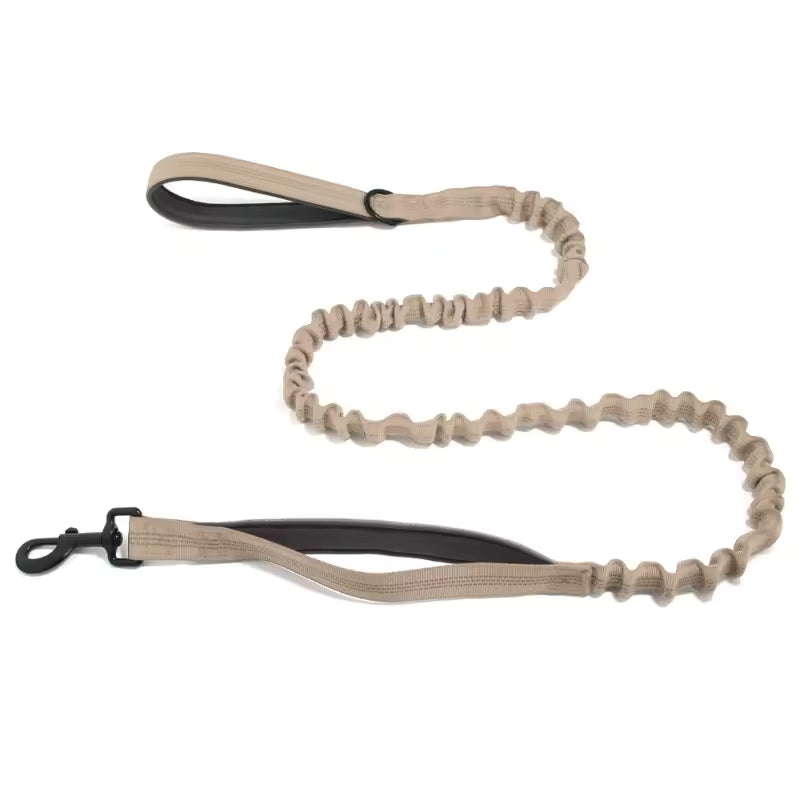 🎁 Correa elástica Blaschen™ GRATIS