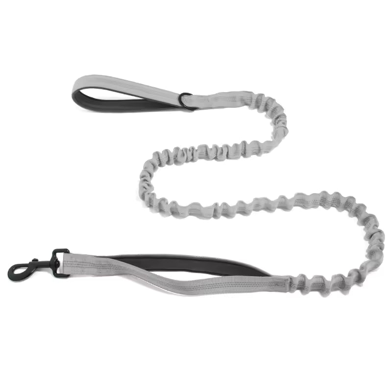 🎁 Correa elástica Blaschen™ GRATIS